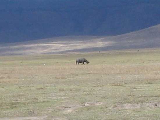 ngorongoro_10