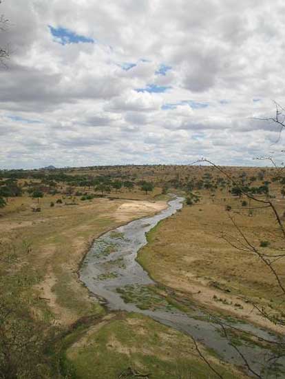 tarangire_park_05